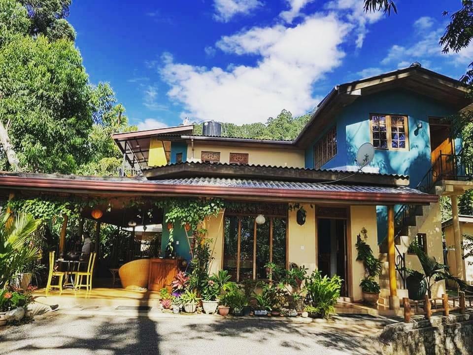 Waterfalls Homestay Элла Экстерьер фото